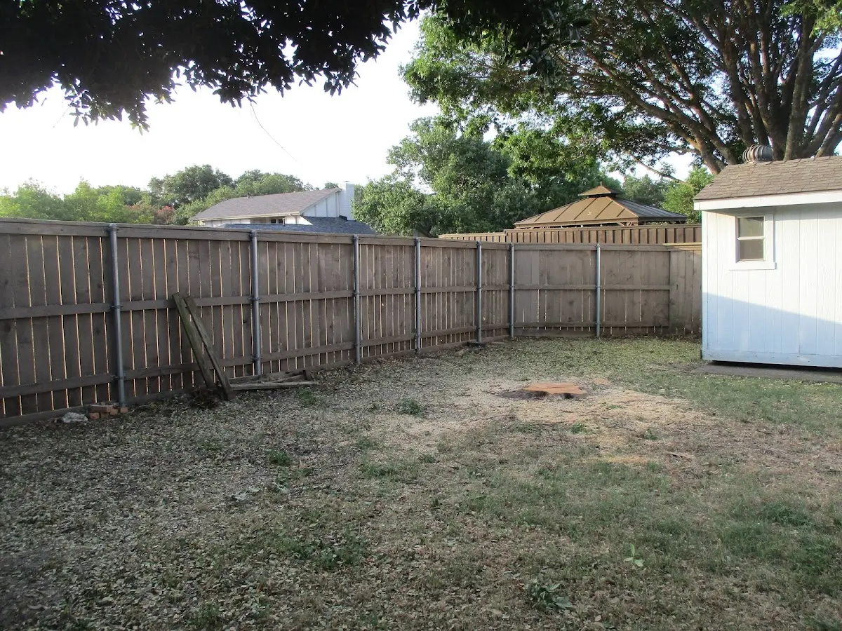 Cleared yard after professional tree removal in New Munster