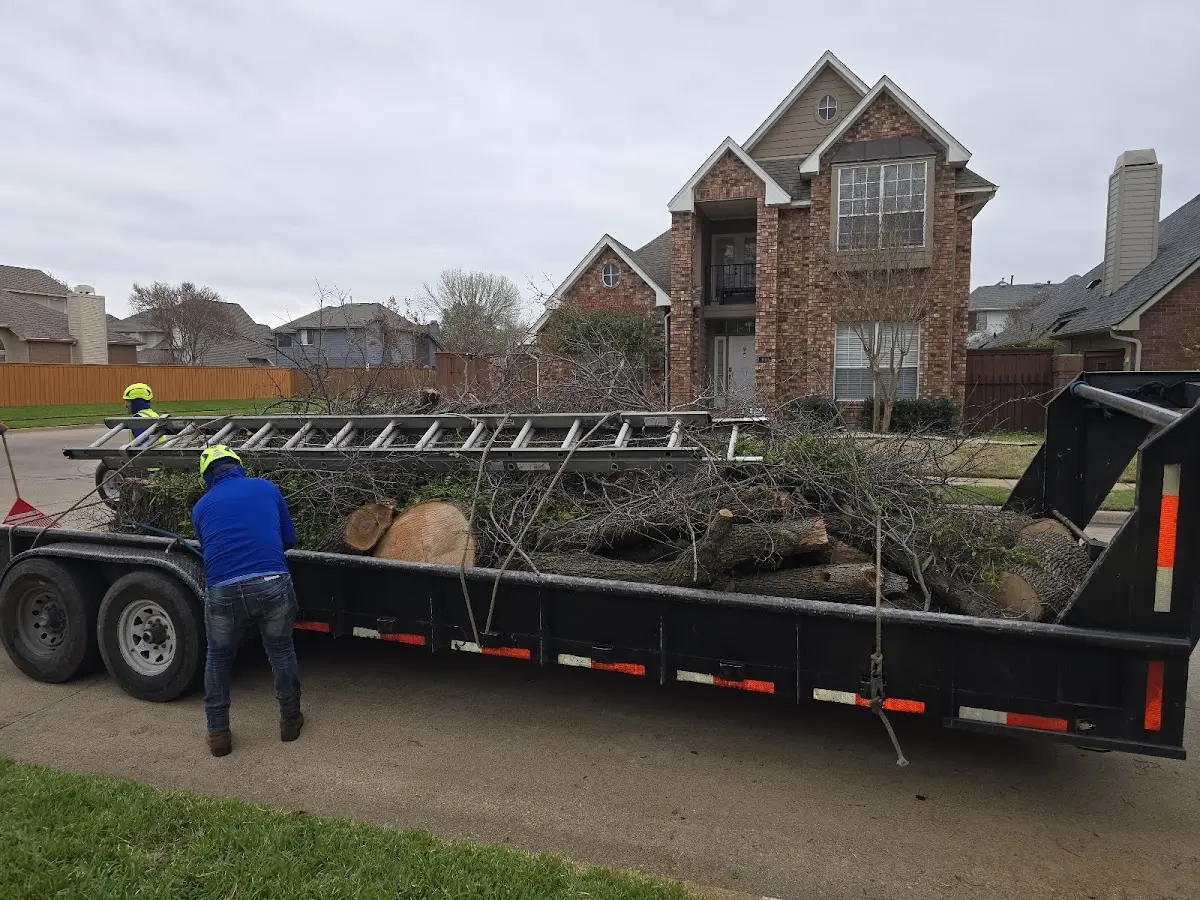Expert Tree Fertilization with proper safety equipment in New Munster